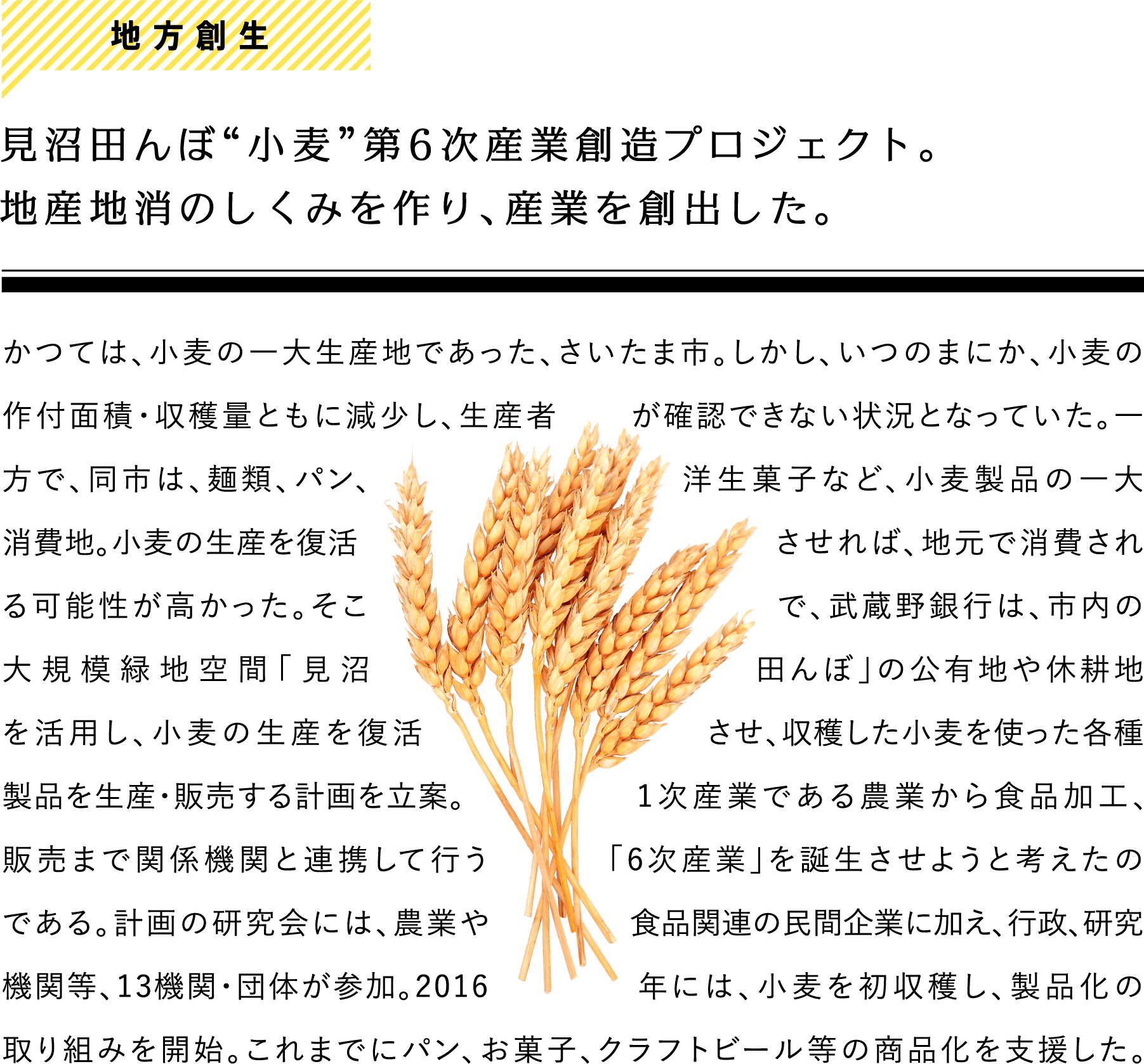 地方創生 見沼田んぼ“小麦”第6次産業創造プロジェクト。地産地消のしくみを作り、産業を創出した。